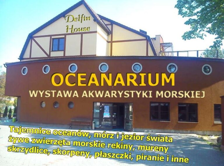 Odkryj magiczny świat oceanarium Łeba – fascynujące morskie stworzenia i edukacja dla całej rodziny