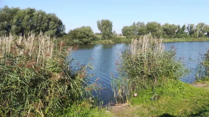 Odkryj najlepsze miejsca na ryby w kujawsko-pomorskich łowiskach bez potrzeby karty