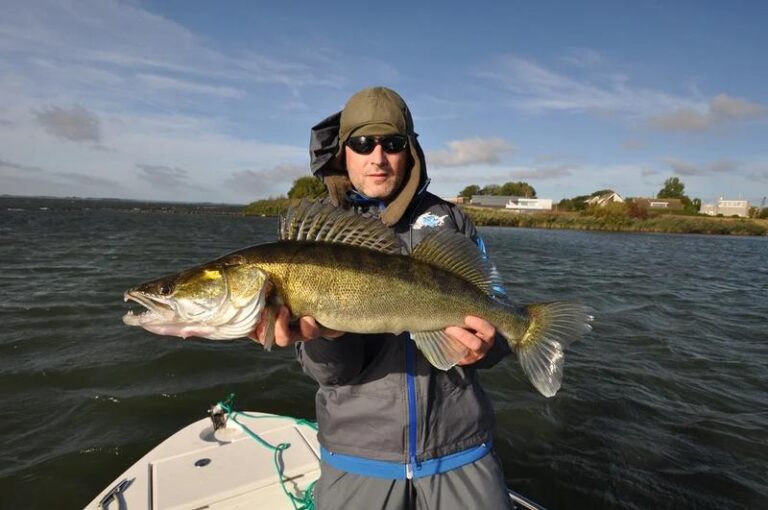 Zaskakujące nawyki żywieniowe sandacza – czym się naprawdę żywi?