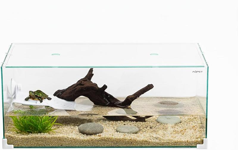 Aklimatyzacja ryb w akwarium