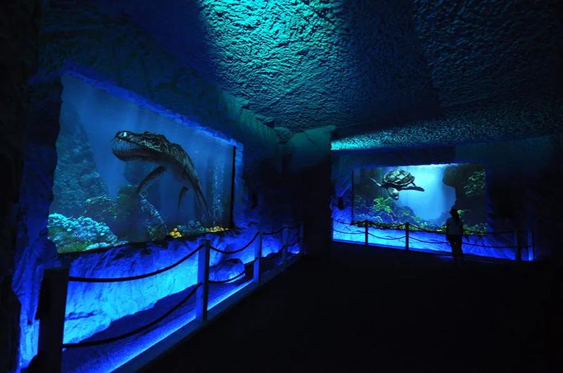 Atrakcje Bałtów Oceanarium