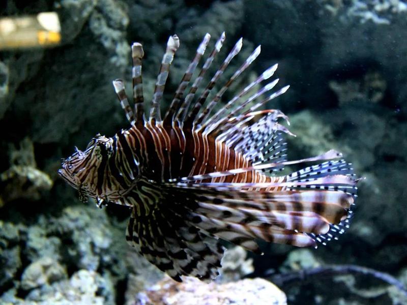 Atrakcje dla dzieci i dorosłych