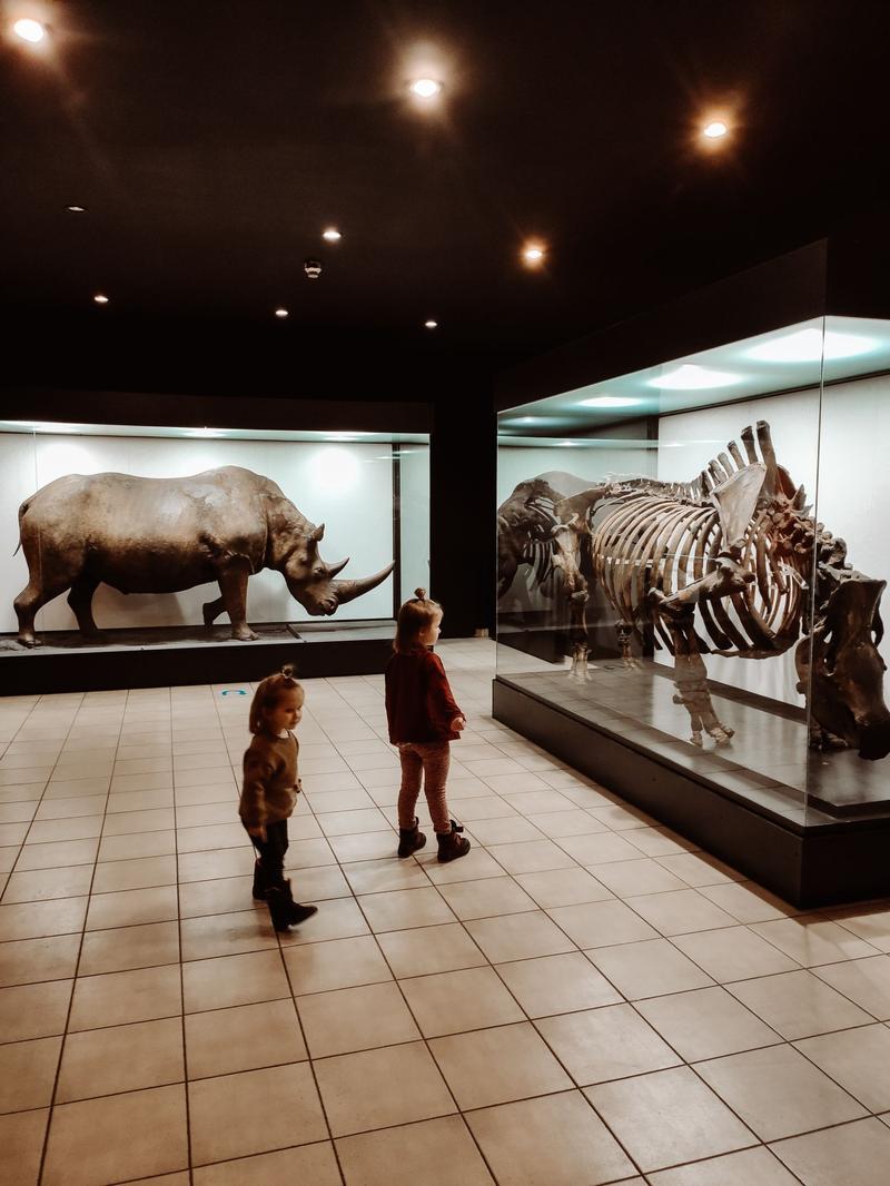 Atrakcje oceanarium Kraków