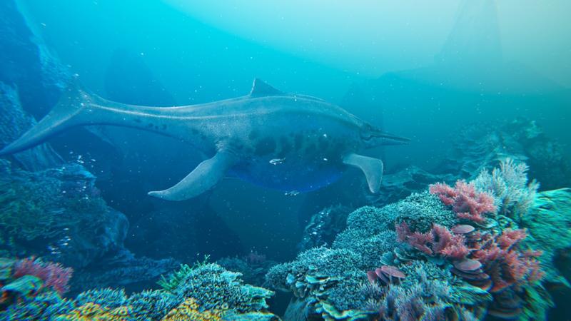 Bałtów Oceanarium przewodnik