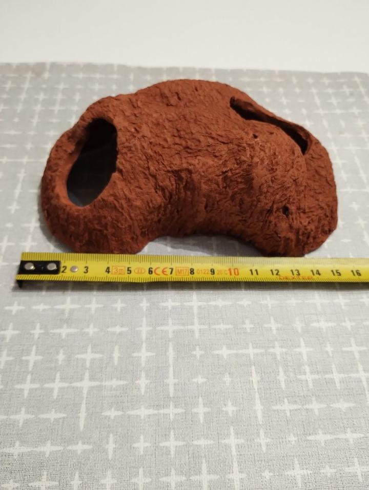 Budowa groty dla glonojada