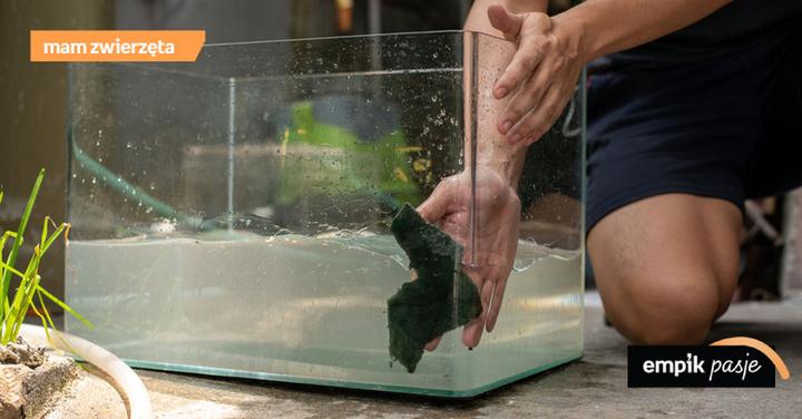 Czyszczenie filtra gąbkowego w akwarium