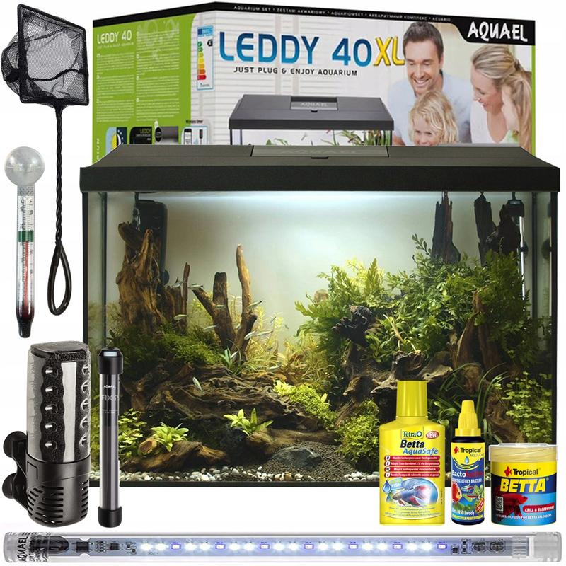 DIY domowy pokarm dla rybek