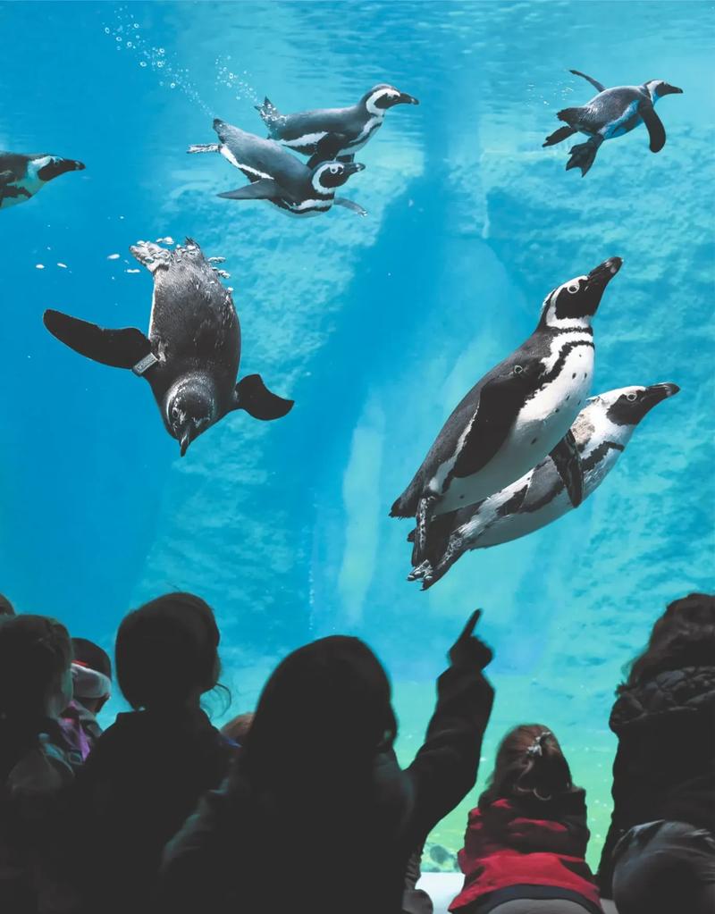 Edukacja ekologiczna i ochrona środowiska