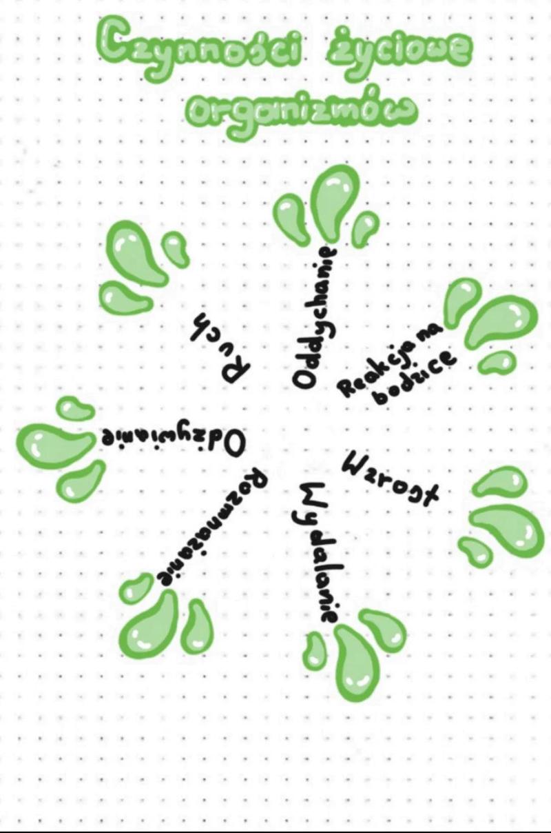 Ewolucja strategii reprodukcyjnych