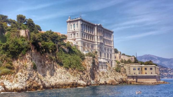 Interaktywne wystawy i karmienie