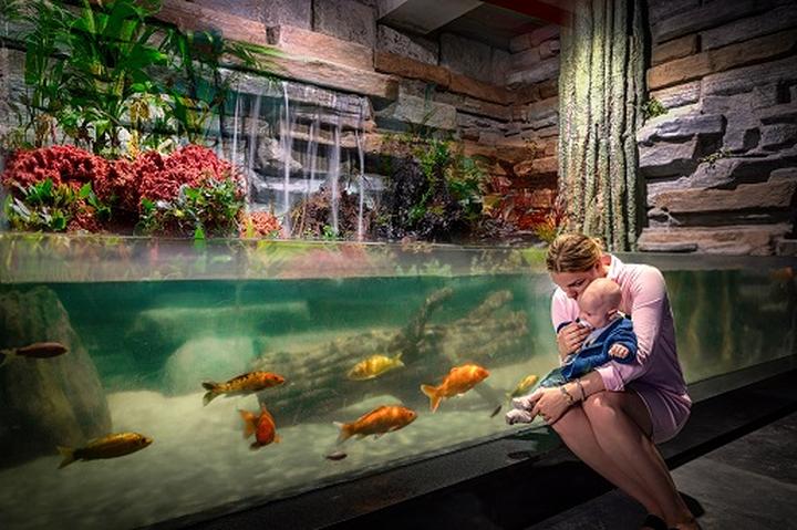 Interaktywne wystawy i pokazy