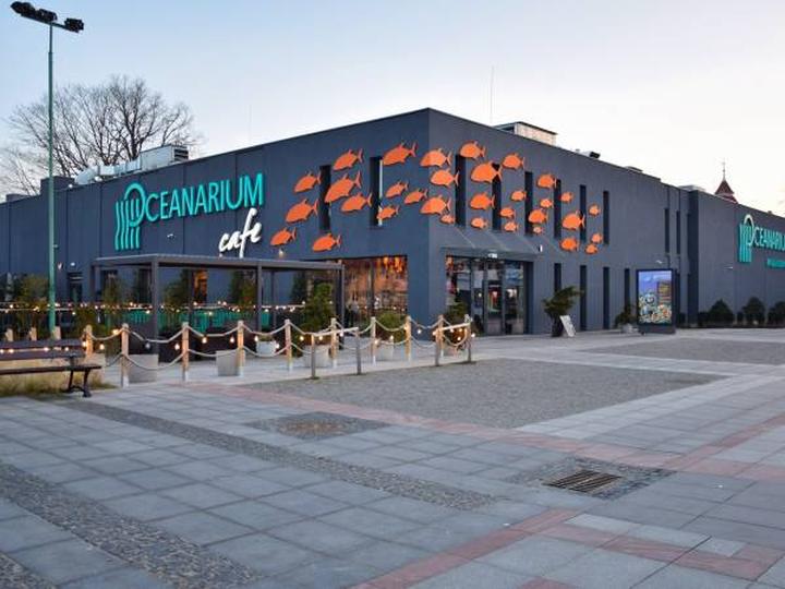 Niezwykłe ekosystemy morskie