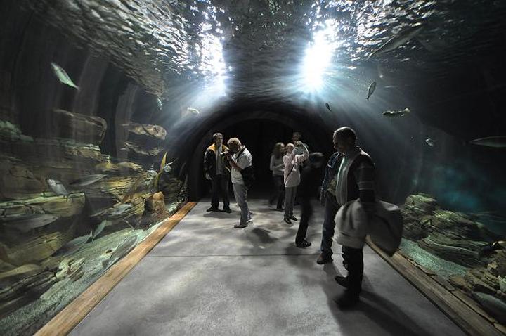 Oceanarium na Wałach Chrobrego