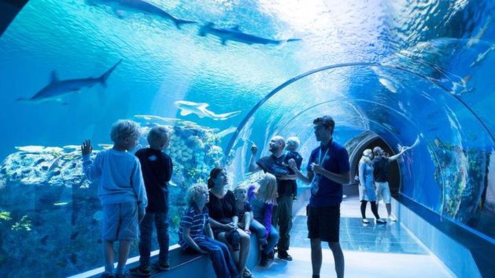 Oceanarium w Lublinie