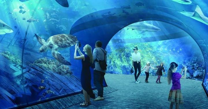 Ochrona środowiska morskiego w oceanarium