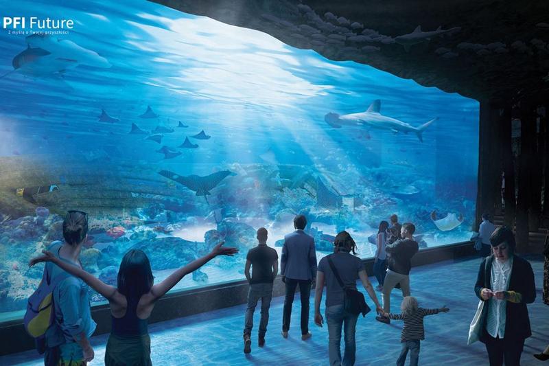 Opinie odwiedzających