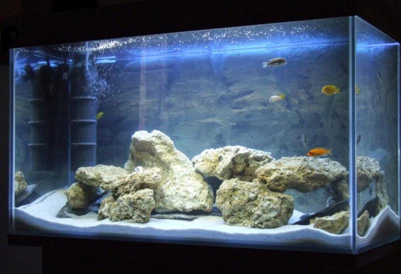 Pielęgnacja i konserwacja akwarium OptiWhite