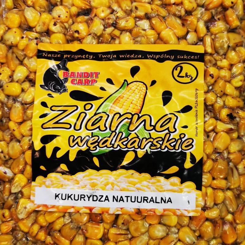 Przygotowanie do egzaminu wędkarskiego