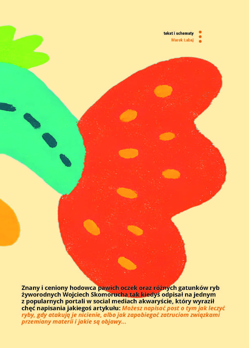 Rodzaje filtrów do akwarium gupików