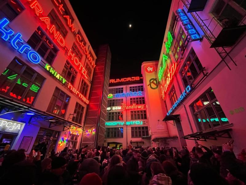 Rozmnażanie neonów w akwarium