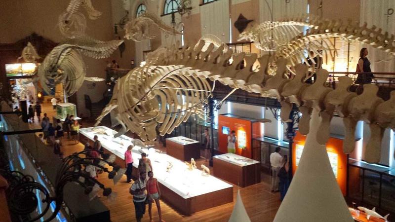 Różnorodność ekosystemów morskich