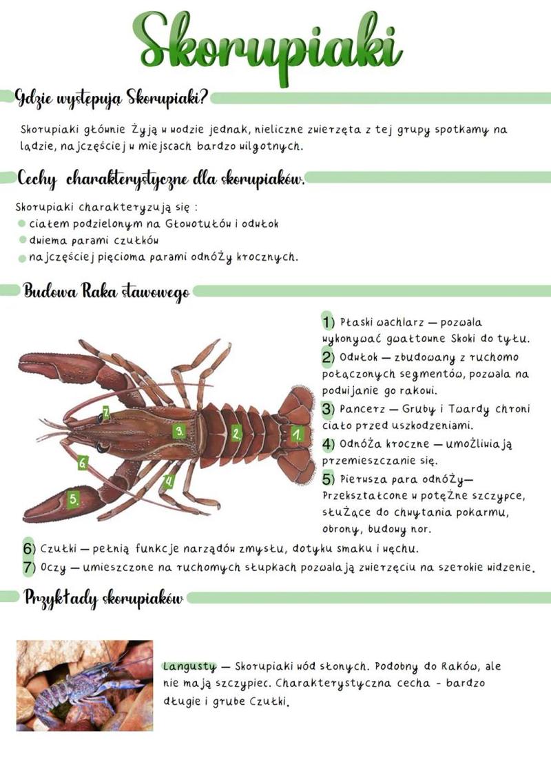 Rytuały godowe i sygnały rozrodcze