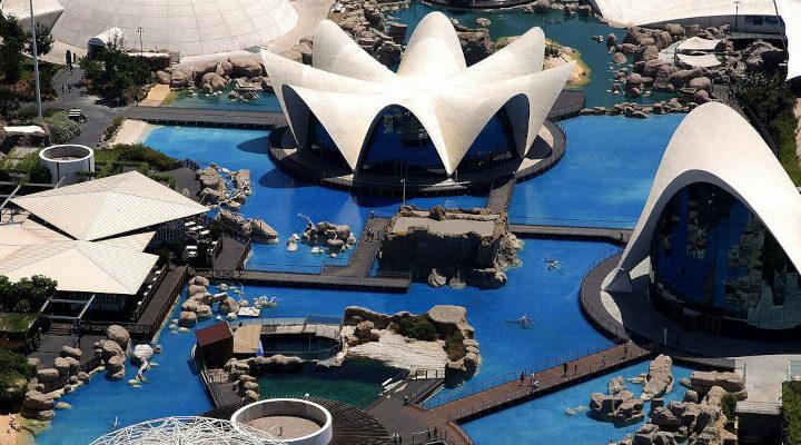Tanie bilety do oceanarium w Walencji