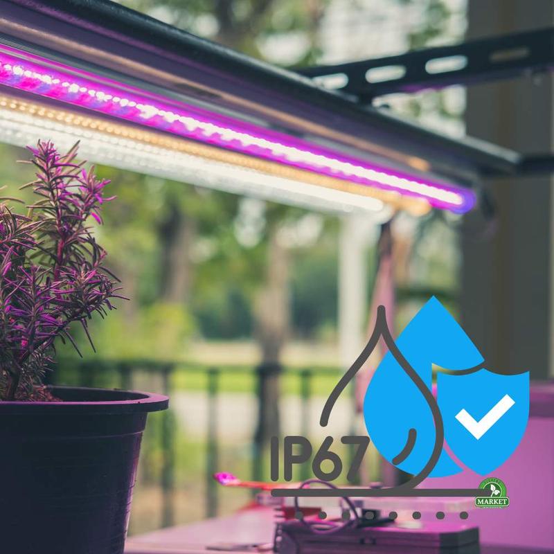 Temperatura barwowa w akwarium