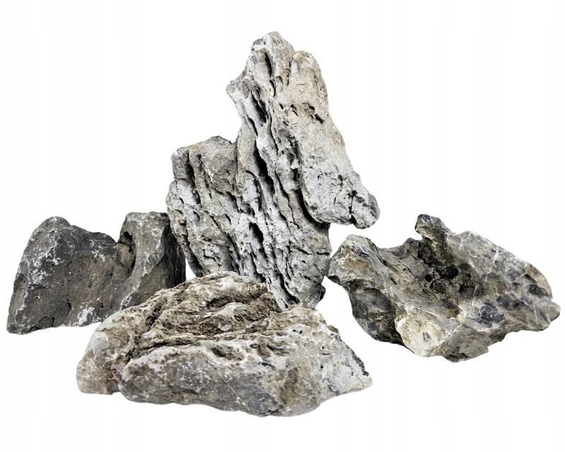 Usuwanie kamienia w akwarium