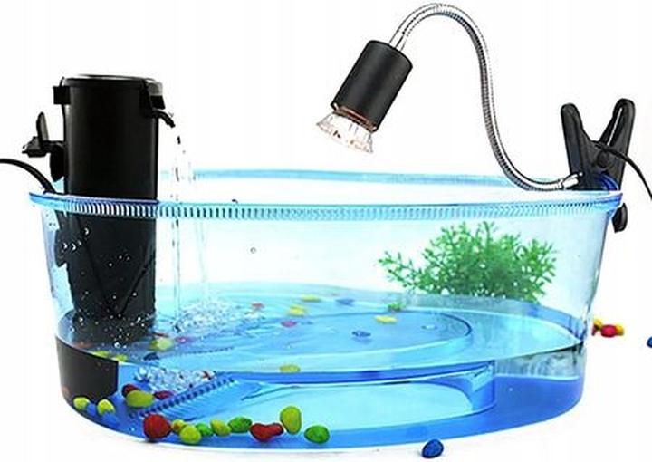 Warunki środowiskowe krabów