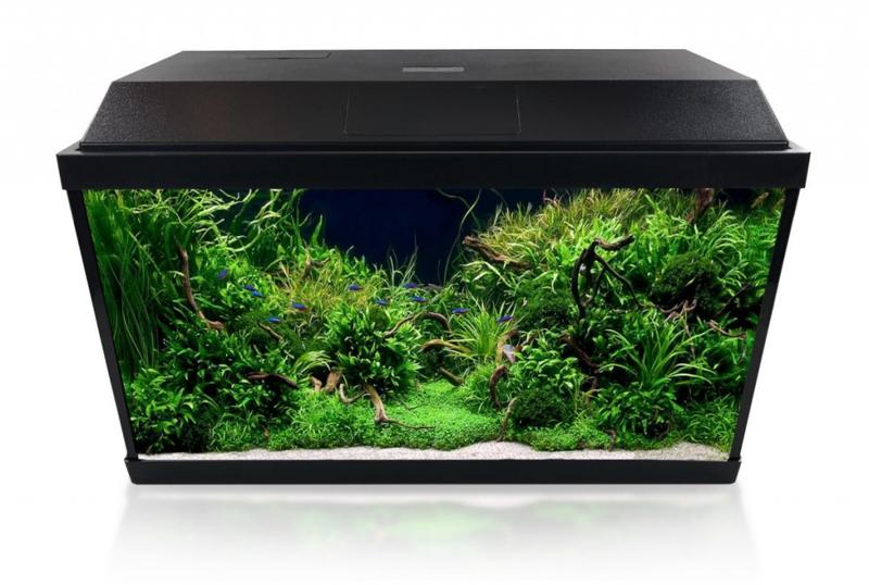 Wymiana wody w akwarium 60l