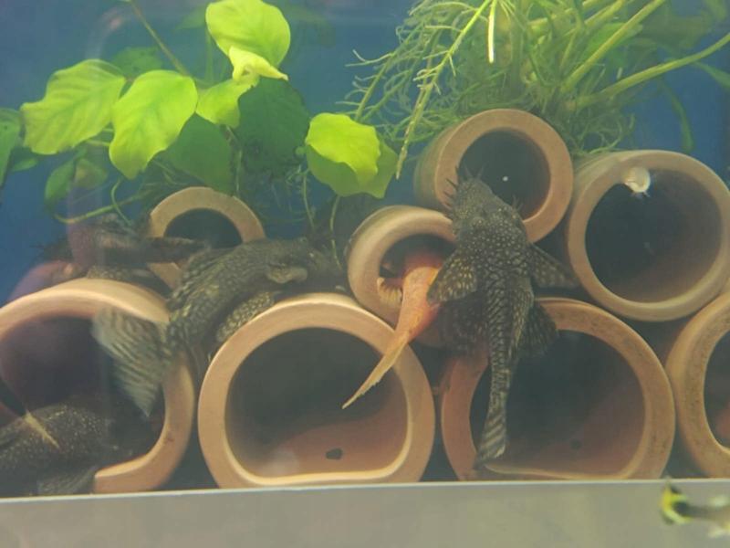 Wymiary i lokalizacja groty