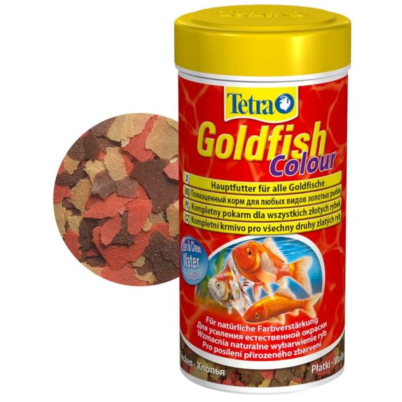 Zagrożenia akwariów kulistych