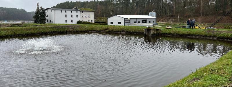 Żywienie ryb akwariowych