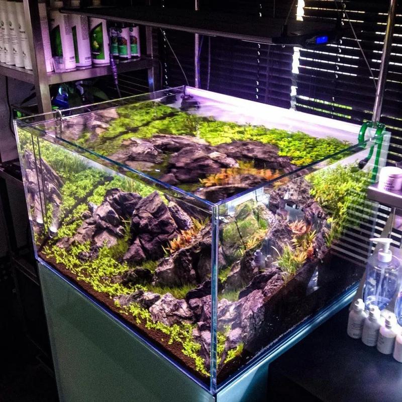 Akwarium OptiWhite – czy to inwestycja, która się opłaca? Odkryj zalety i wady!