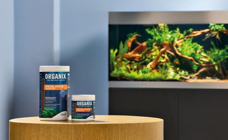 Bezstresowe wprowadzenie ryb do akwarium – jak zadbać o ich bezpieczeństwo?