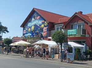 Co sądzą odwiedzający o oceanarium w Niechorzu? Opinie i wrażenia z atrakcji