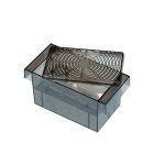 Czy rybki w kuli mogą być szczęśliwe? Odkryj prawdę o ich dobrostanie