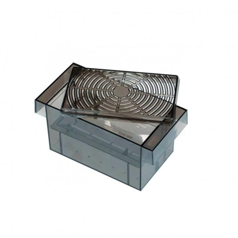 Czy rybki w kuli mogą być szczęśliwe? Odkryj prawdę o ich dobrostanie