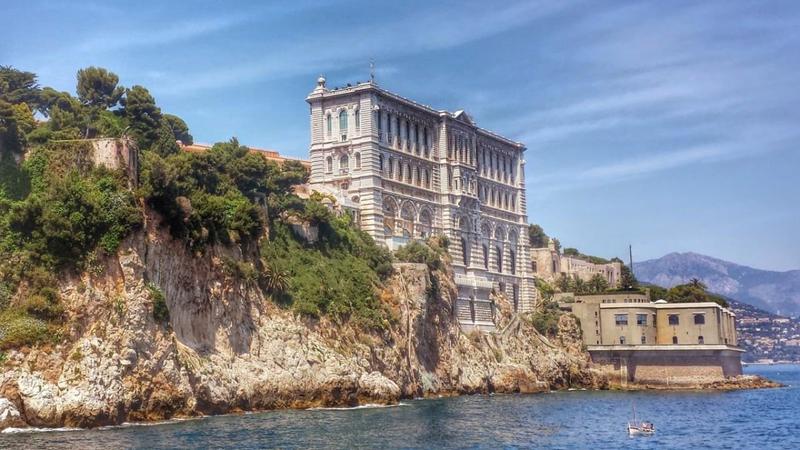 Eksploruj niezwykłe życie morskie w Oceanarium Monaco – atrakcje, które zachwycą każdego odwiedzającego