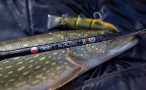 Najlepsze wędki spinningowe do 100 zł – przegląd modeli, które nie zawiodą wędkarzy