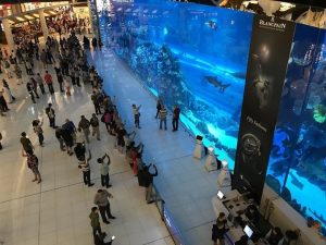 Odkryj fascynujący świat oceanarium w Dubaju: atrakcje, ceny biletów i godziny otwarcia