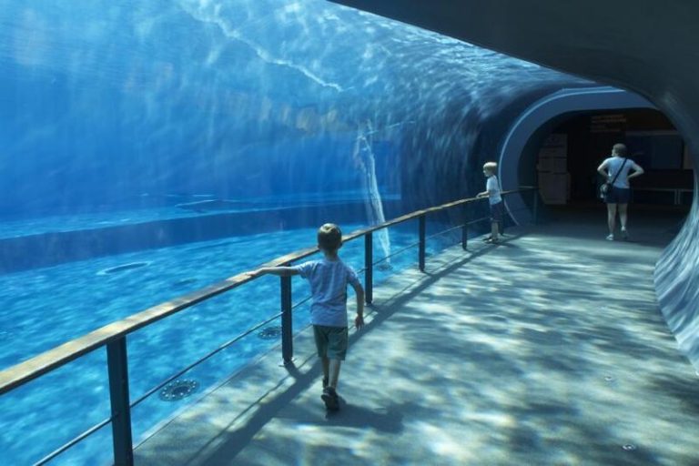 Odkryj magiczny świat Oceanarium w Genui: Fascynujące zwierzęta i praktyczne wskazówki dla zwiedzających