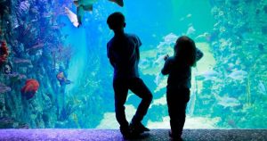Odkryj magię Oceanarium w Świętokrzyskim – co warto zobaczyć i jak się do tego przygotować?