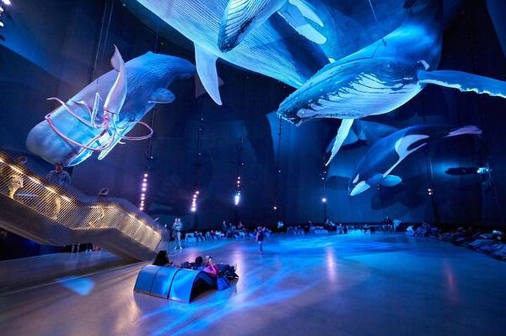 Odkryj piękno morskiego świata w Ozeaneum w Stralsundzie