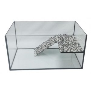 Odkryj tajniki: jak stworzyć idealne akwarium dla kraba, by zapewnić mu komfortowe warunki