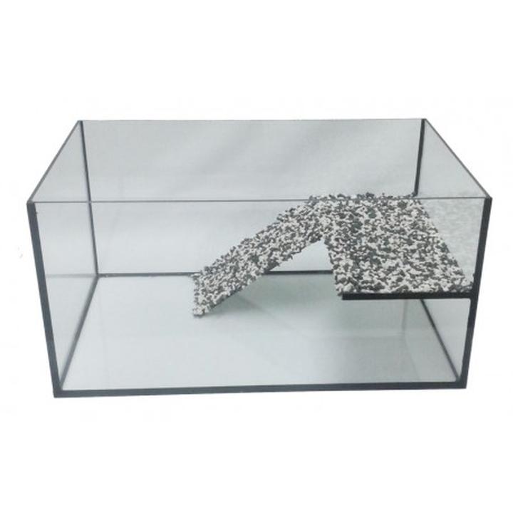 Odkryj tajniki: jak stworzyć idealne akwarium dla kraba, by zapewnić mu komfortowe warunki