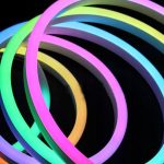 Zaskakujące ceny neonów LED i ryb – Sprawdź, ile kosztują te kolorowe cuda!