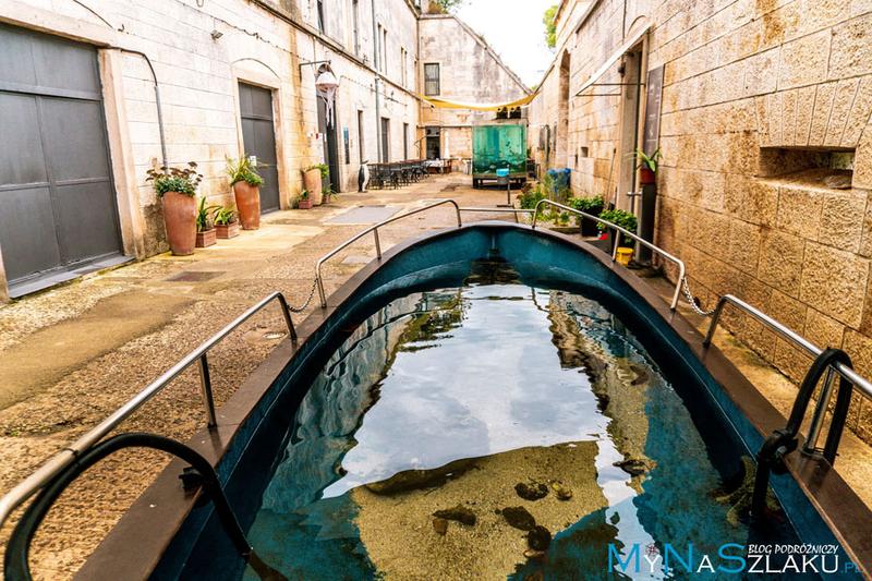 Akwarium Miejskie w Puli