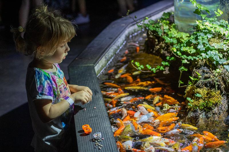 Atrakcje dla całej rodziny w kielcach